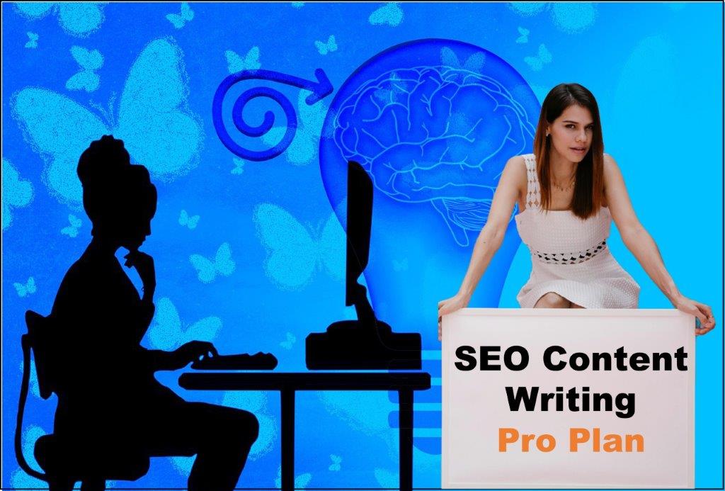 seo content writing agency Lincoln Nebraska