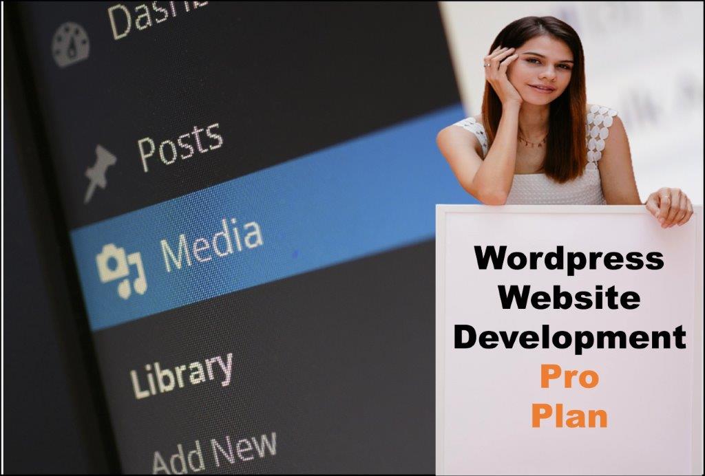 wordpress website designing in Lincoln Nebraska